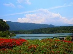 西湖