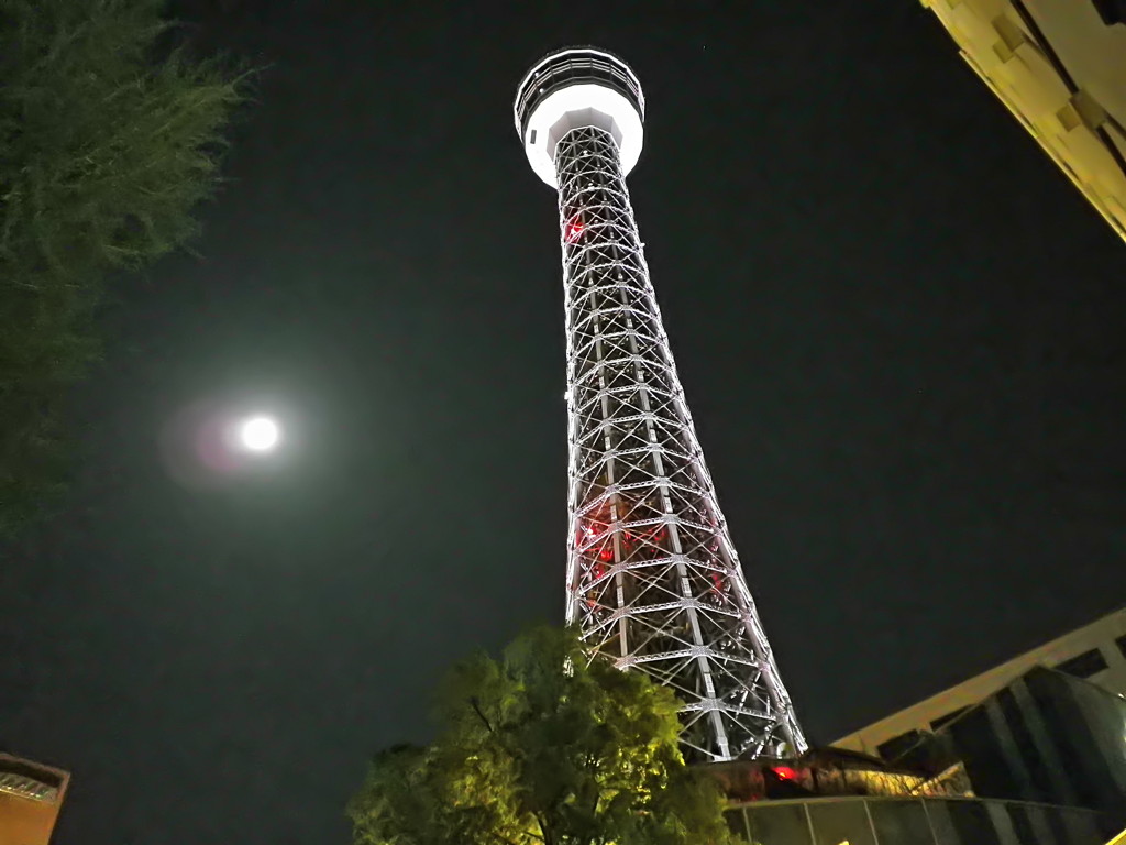 初めての夜景