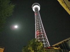 初めての夜景