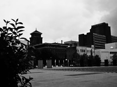 梅雨空のYOKOHAMA