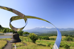 _OR50855