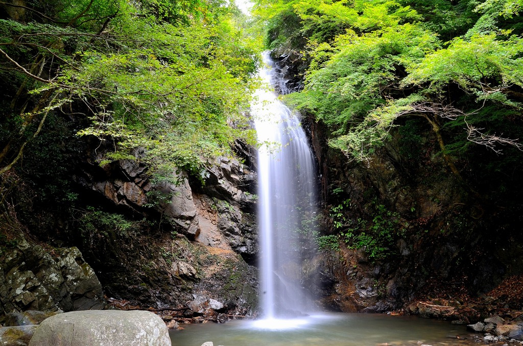 白藤の滝