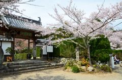 桃林寺