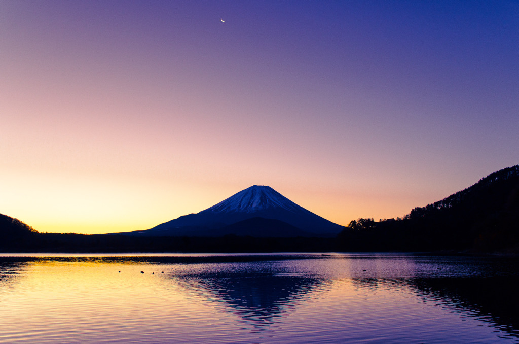 精進湖からの富士山　精進湖ばかりですいません！