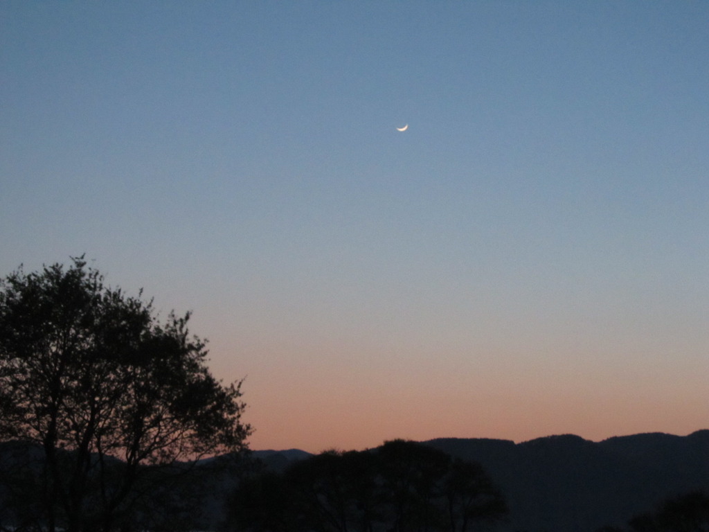 夕焼けと月