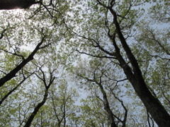小谷山にて