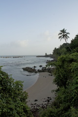 Ｆｉｓｈｉｎｇ　ｐｏｒｔ　