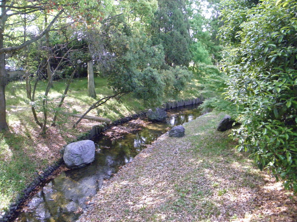 緑地