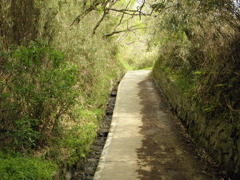二上山