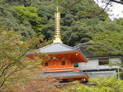信貴
