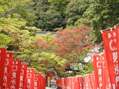 毘沙門