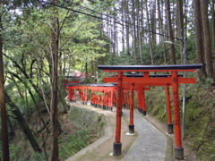 鳥居の行列