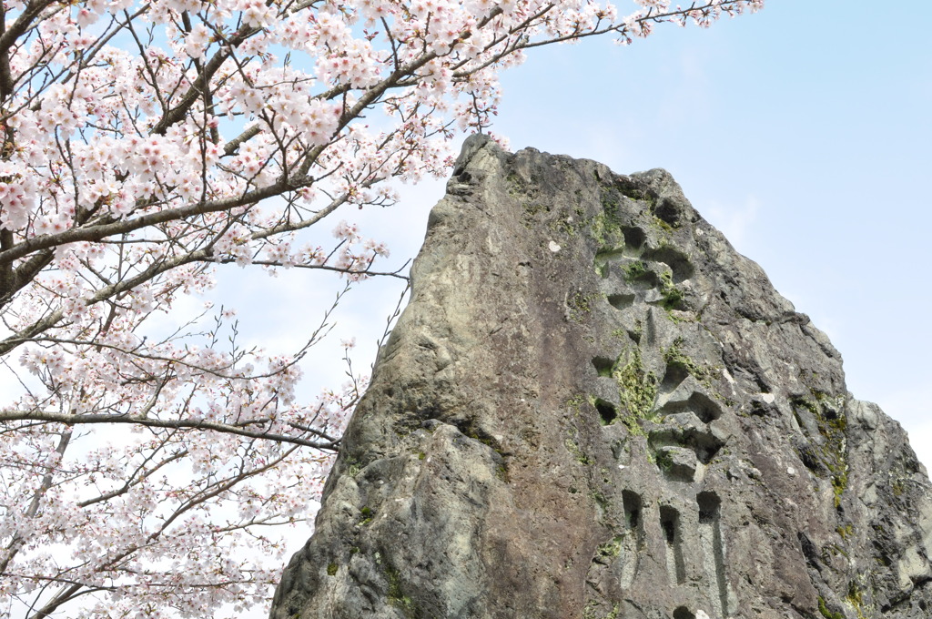 宇治川