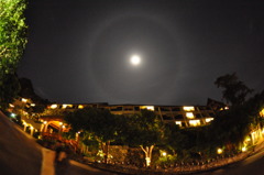Moon Ring