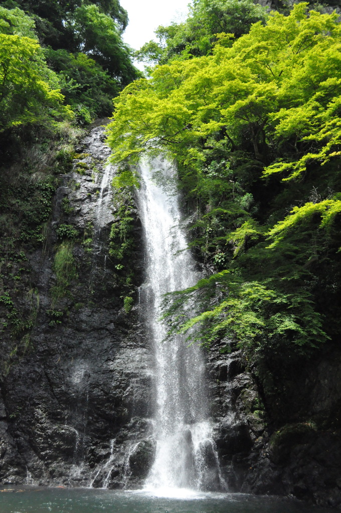 箕面の滝