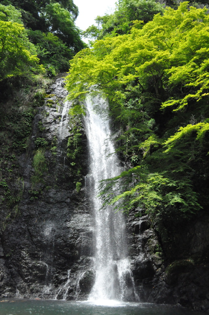 箕面の滝