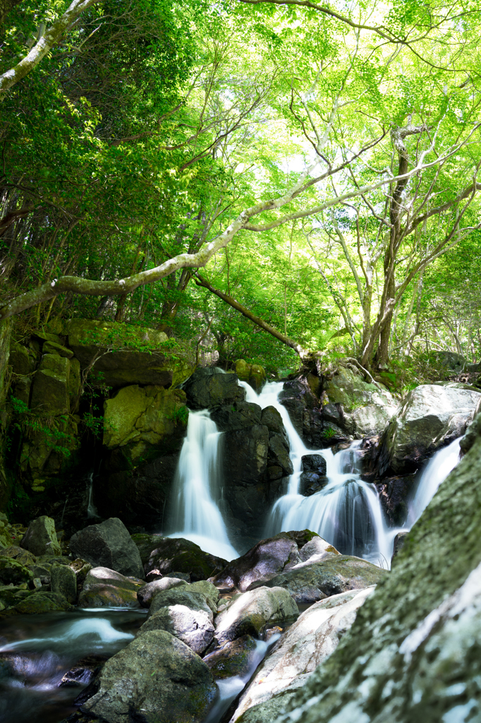 尼ん滝