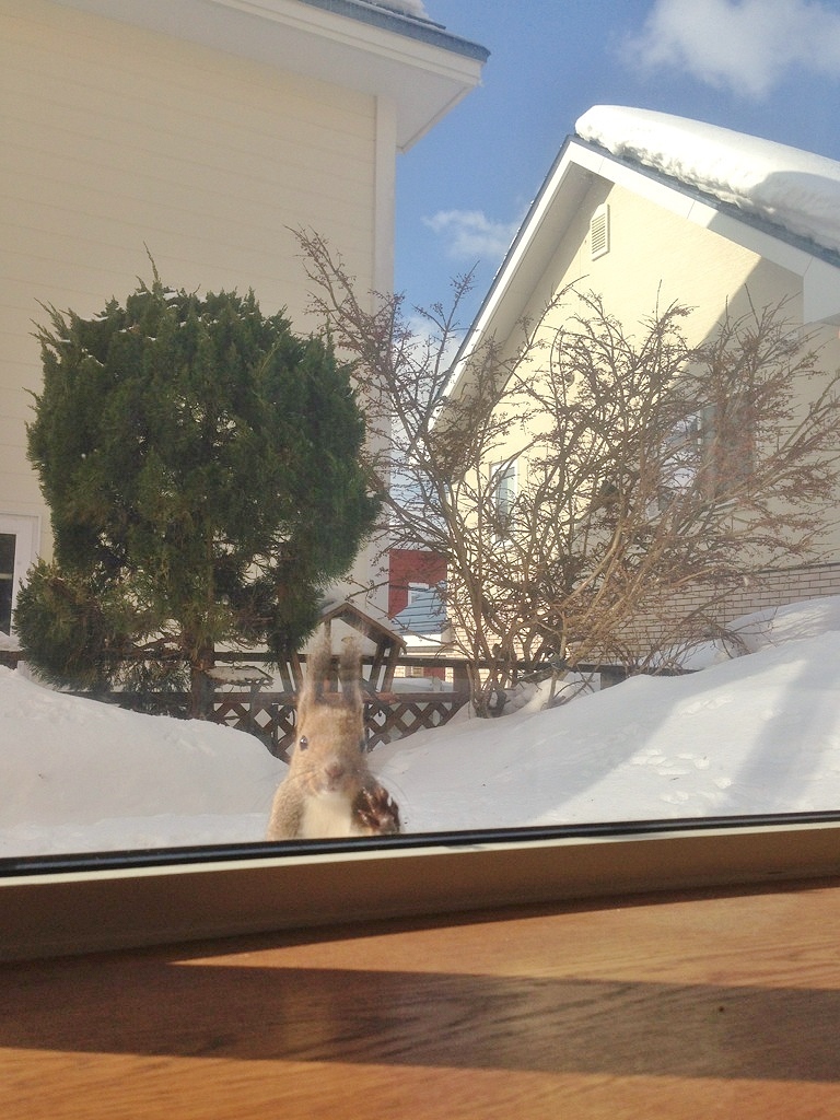 あのぉ・・・