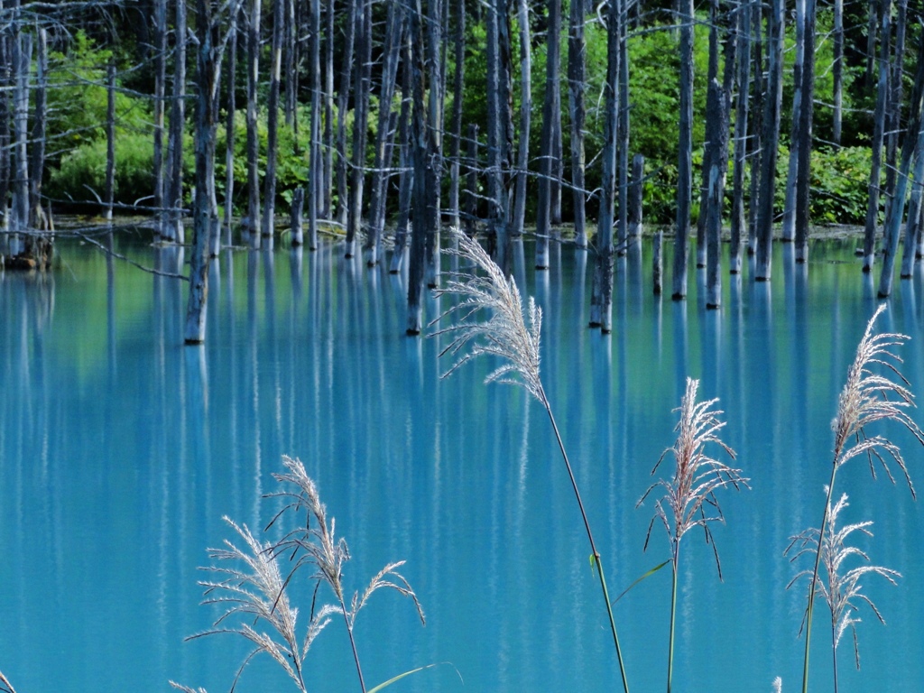 秋の気配