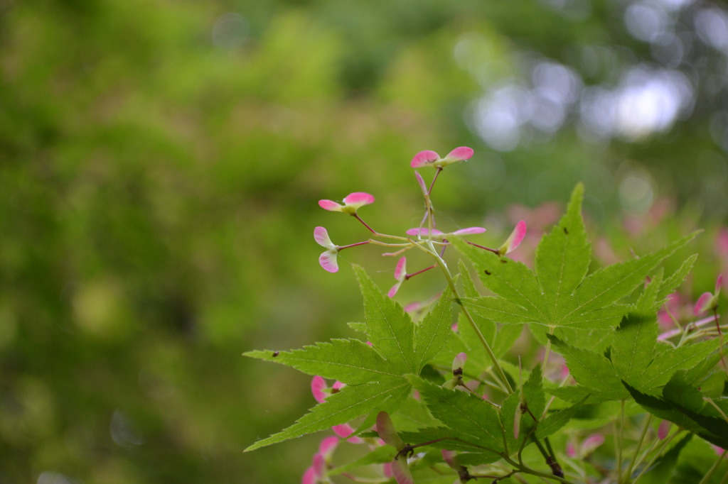 もうすぐ飛びますよ