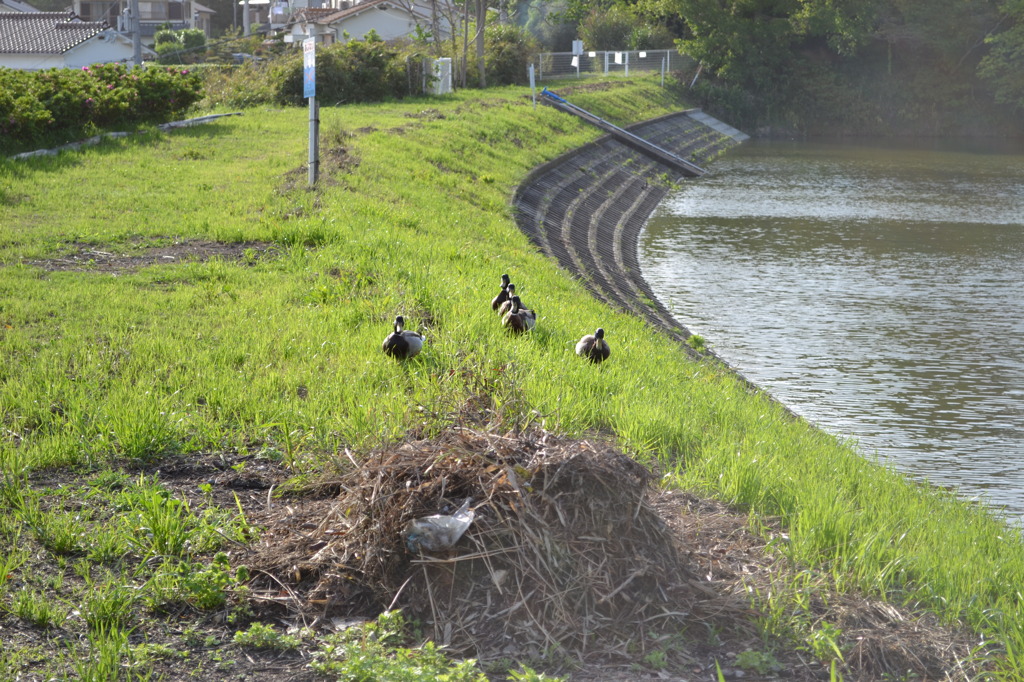 撮るんなら行きますよ