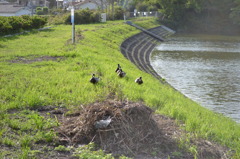 撮るんなら行きますよ