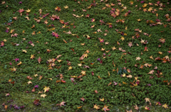 DSC_6039
