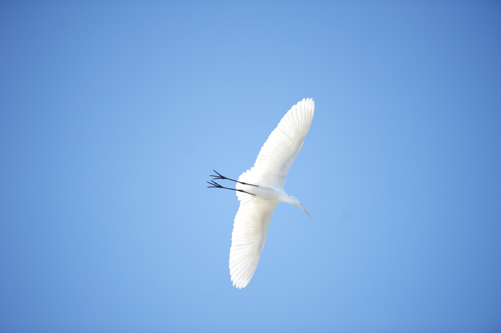 青空＝光