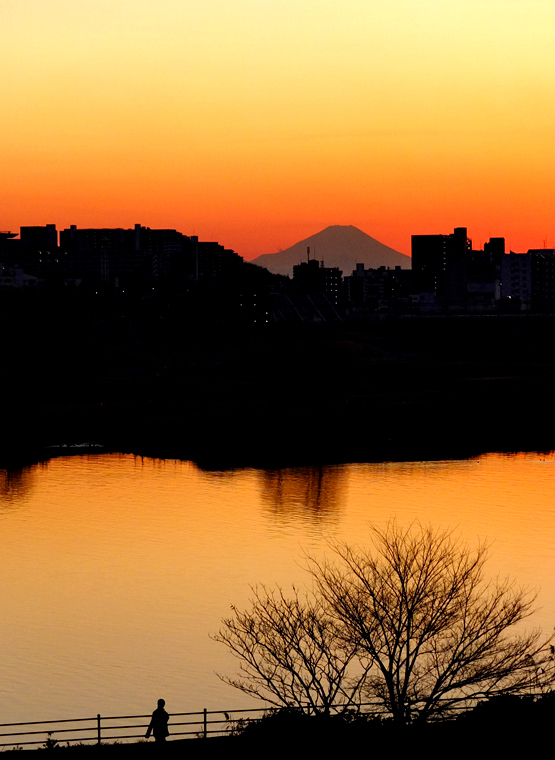 埼玉から富士山