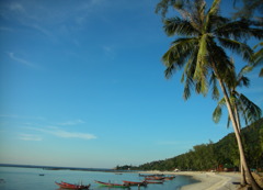 DSCN0233