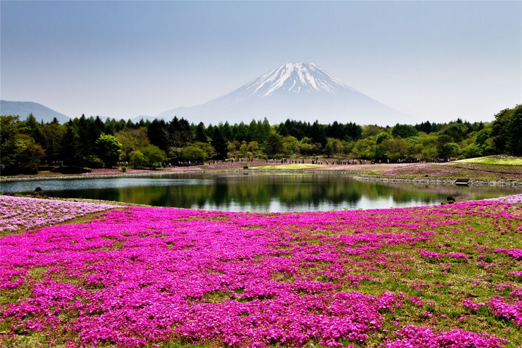 春色絶景