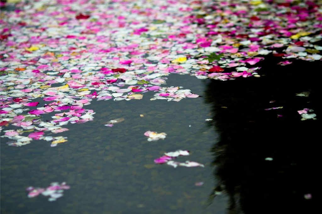 水面の色彩