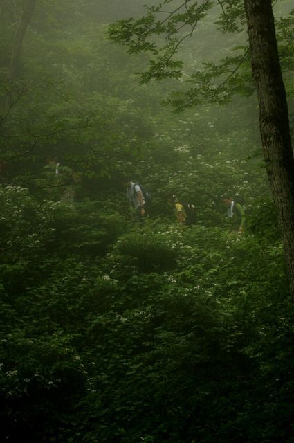 奥多摩　三頭山