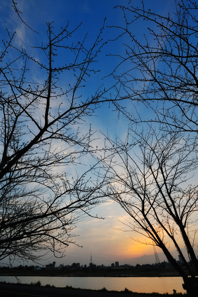20120320_DSC8355