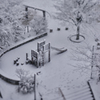 footsteps in winter 2013