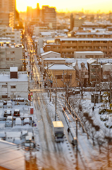 snow morning 2013