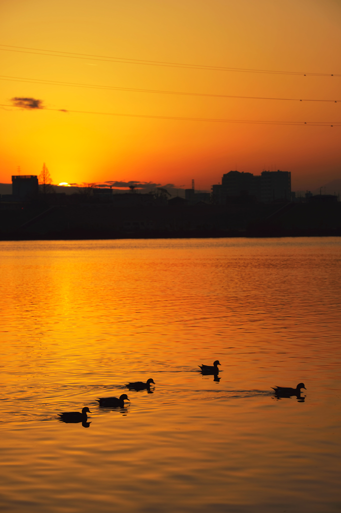 sunset river