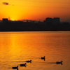 sunset river
