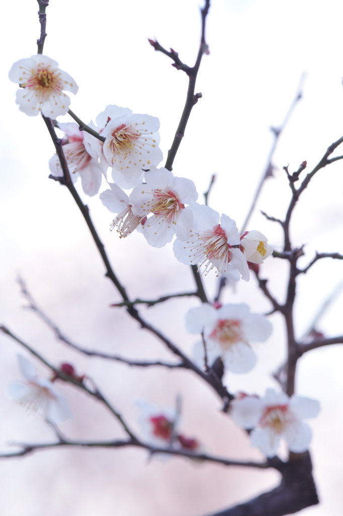20120311_DSC7050