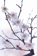 20120311_DSC7050