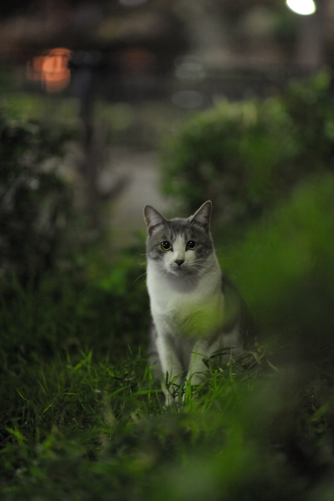 DSC9124