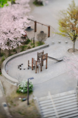 spring has come