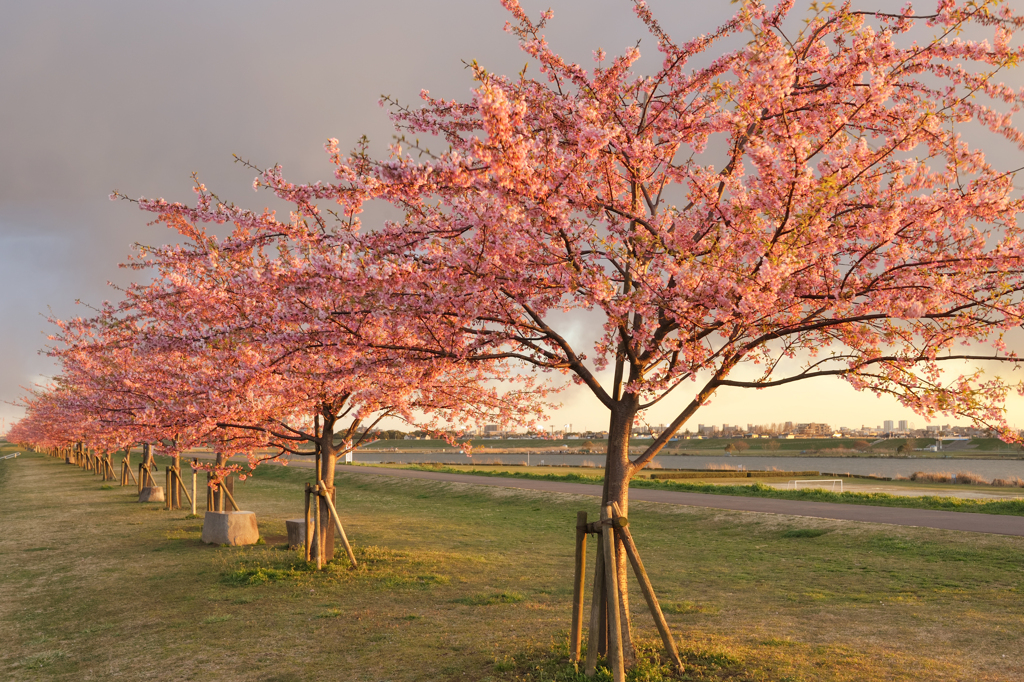 20120325_DSC8766