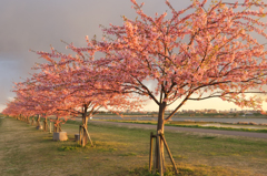 20120325_DSC8766