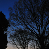 20120401_DSC9299