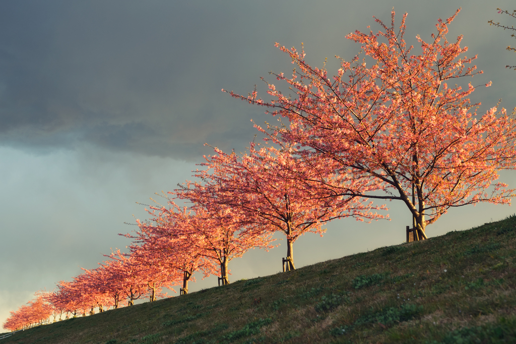 20120325_DSC8723