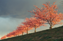 20120325_DSC8723