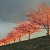 20120325_DSC8723