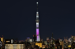 20130403_DSC9364