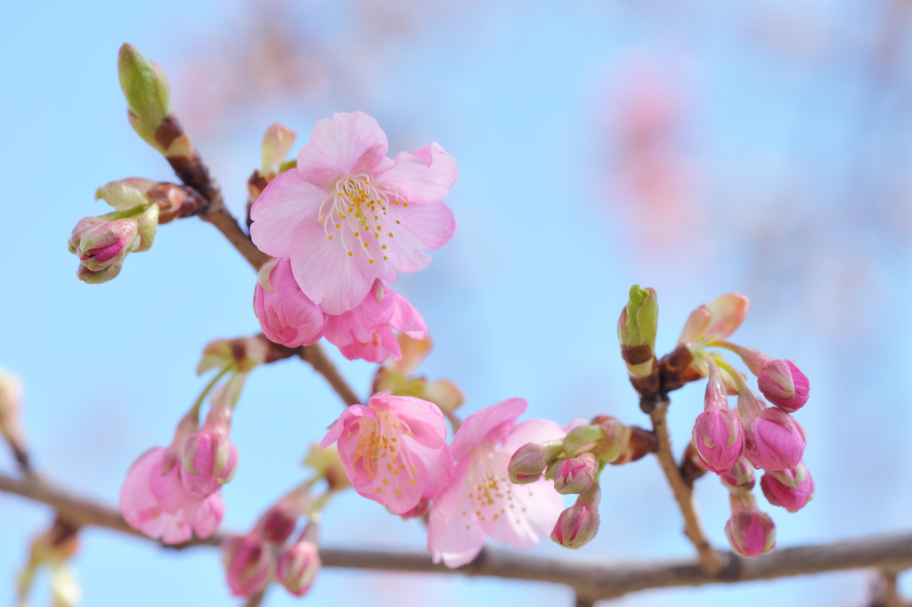 20120311_DSC6941